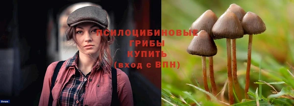 гидра Алексин