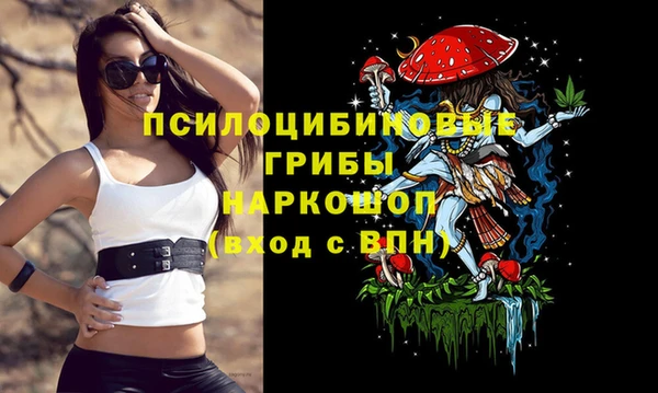 гидра Алексин