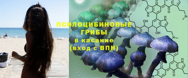 кокс Алексеевка