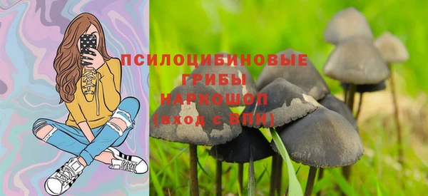 МДПВ Алзамай