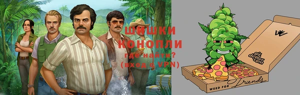 МДПВ Алзамай