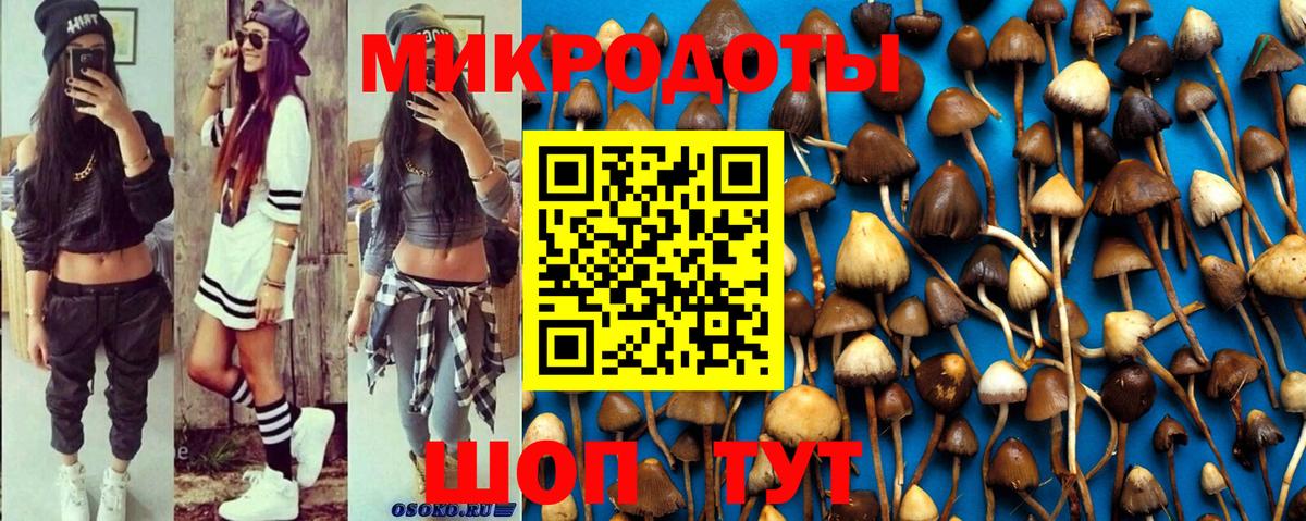 Галлюциногенные грибы мицелий  Вход с VPN  Йошкар-Ола 